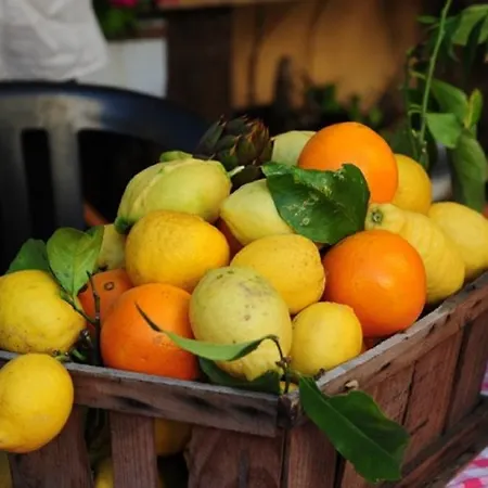 Del Pigato - Bio Vio Farm stay