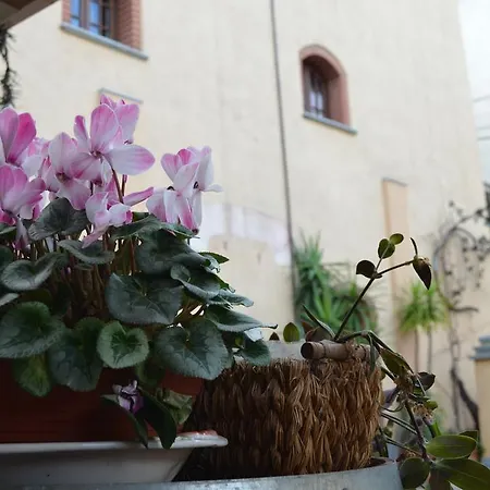 Del Pigato - Bio Vio * Albenga