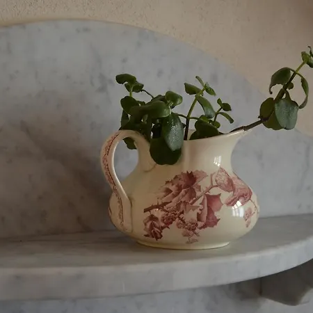 Lantgård Del Pigato - Bio Vio