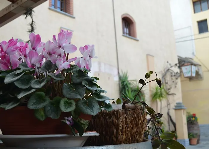 Del Pigato - Bio Vio * Albenga
